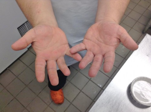 the hands of a chef 8