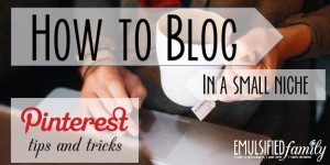 How to Blog in a small niche - pinterest