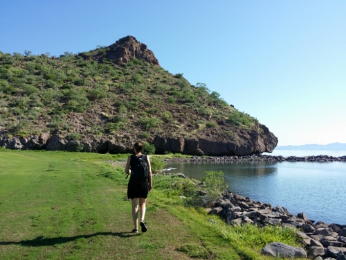 20150928_100403 (500x375)